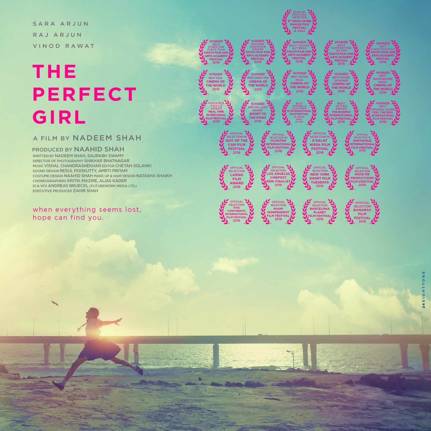 Extra Large Movie Poster Image for The Perfect Girl