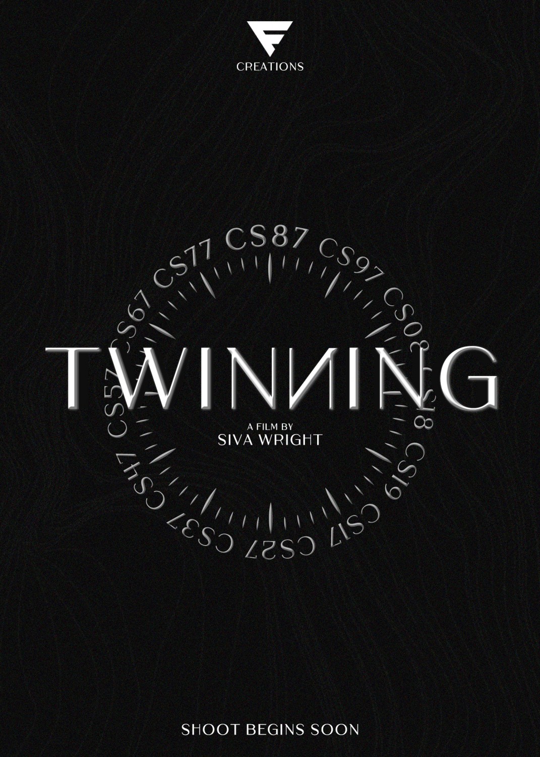 Extra Large Movie Poster Image for Twinning