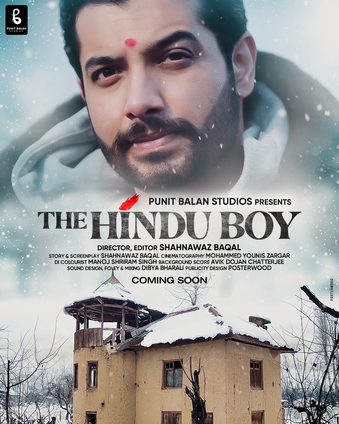 Extra Large Movie Poster Image for The Hindu Boy