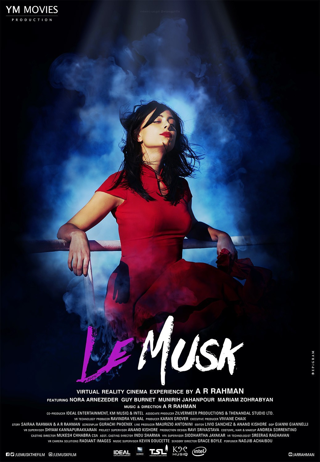 Extra Large Movie Poster Image for Le Musk