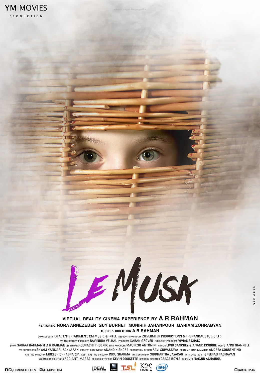 Extra Large Movie Poster Image for Le Musk