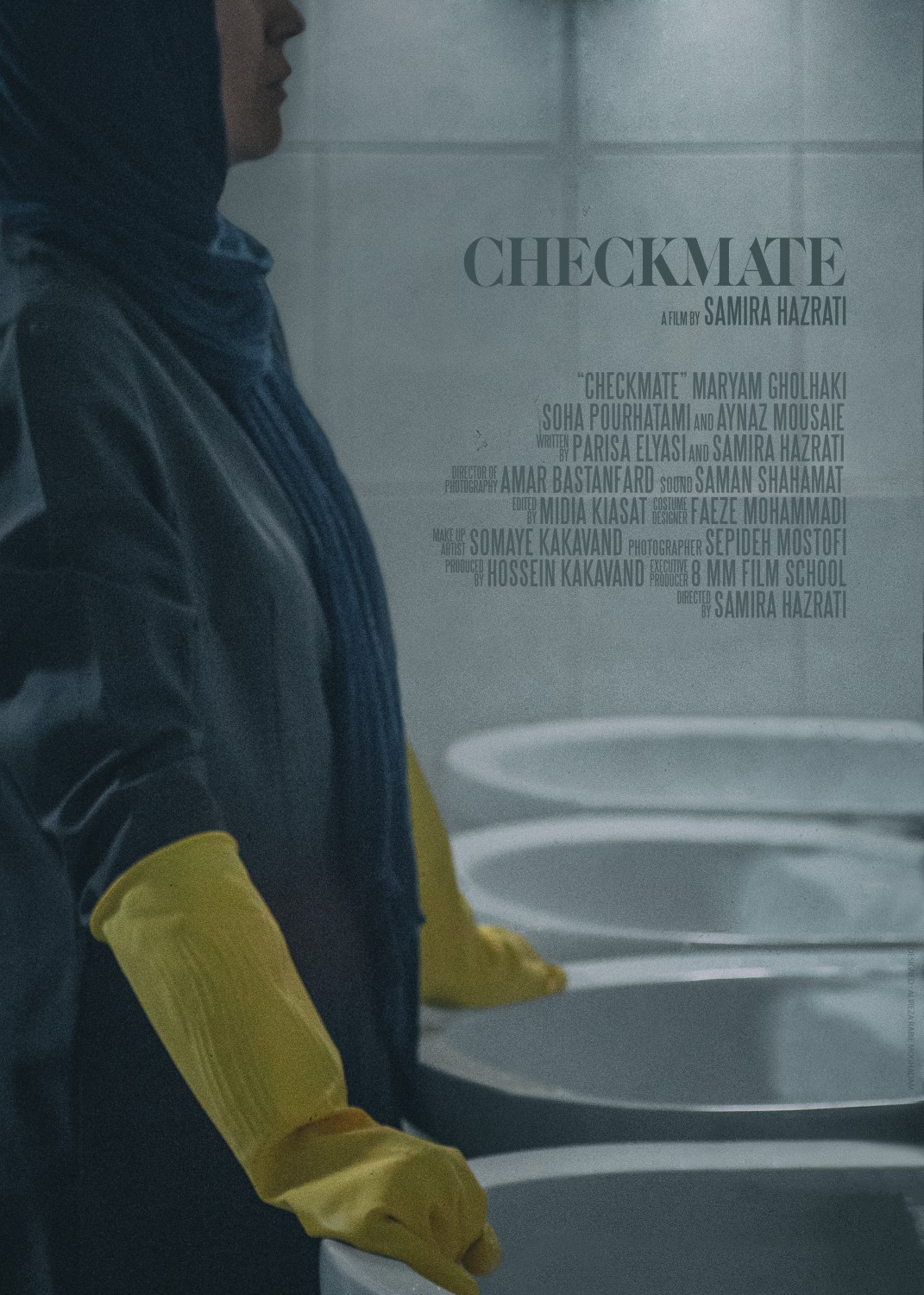 Extra Large Movie Poster Image for Checkmate