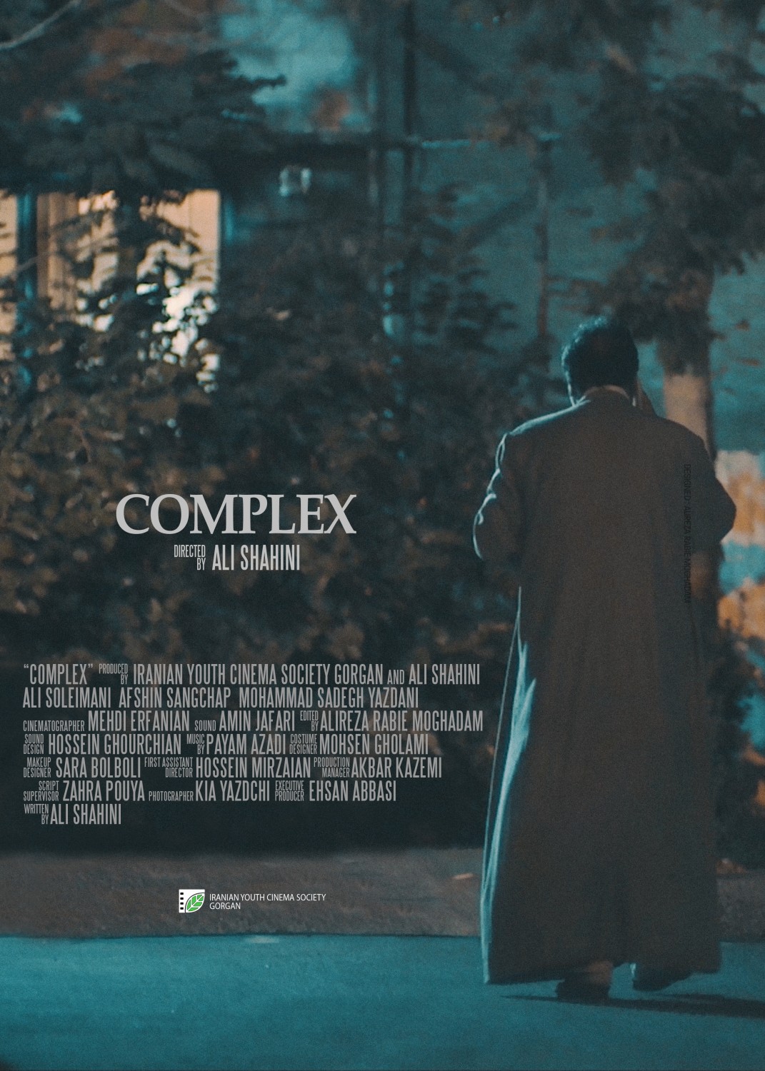 Extra Large Movie Poster Image for Complex