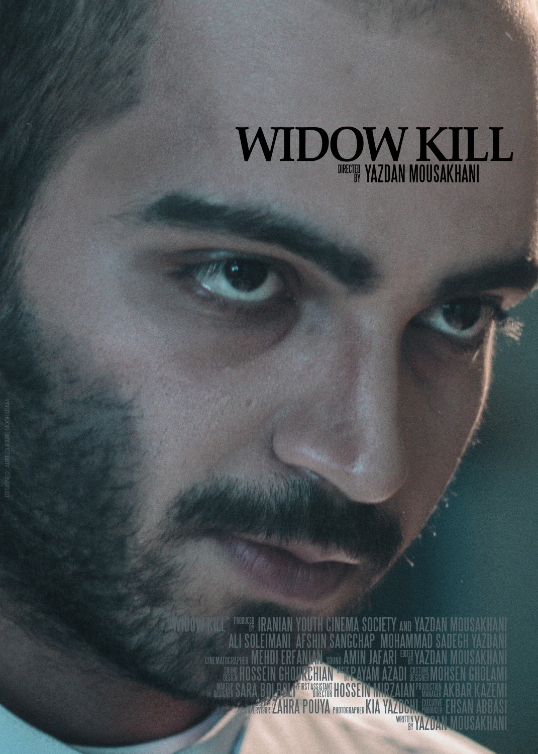 Extra Large Movie Poster Image for Widow Kill