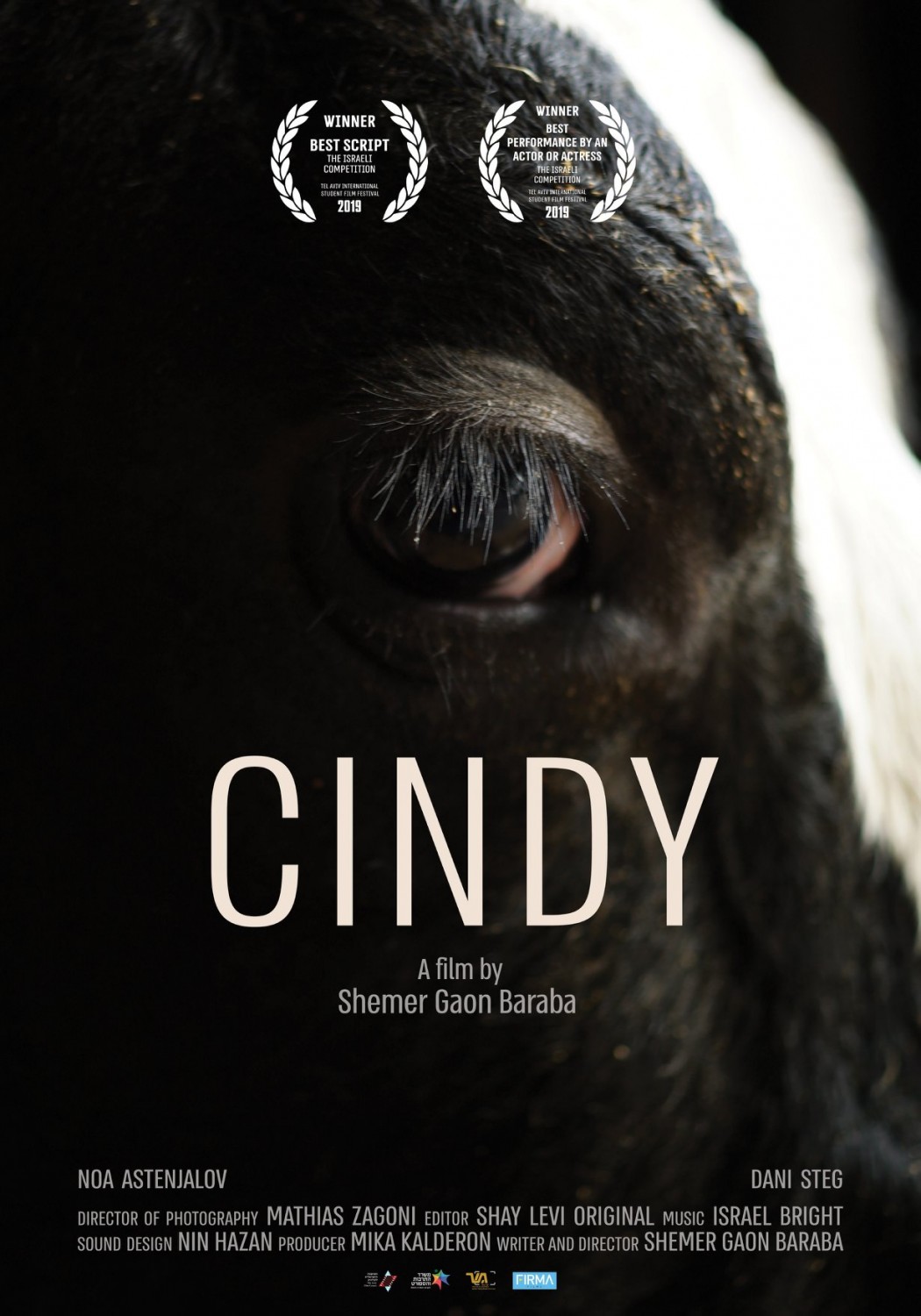 Extra Large Movie Poster Image for Cindy