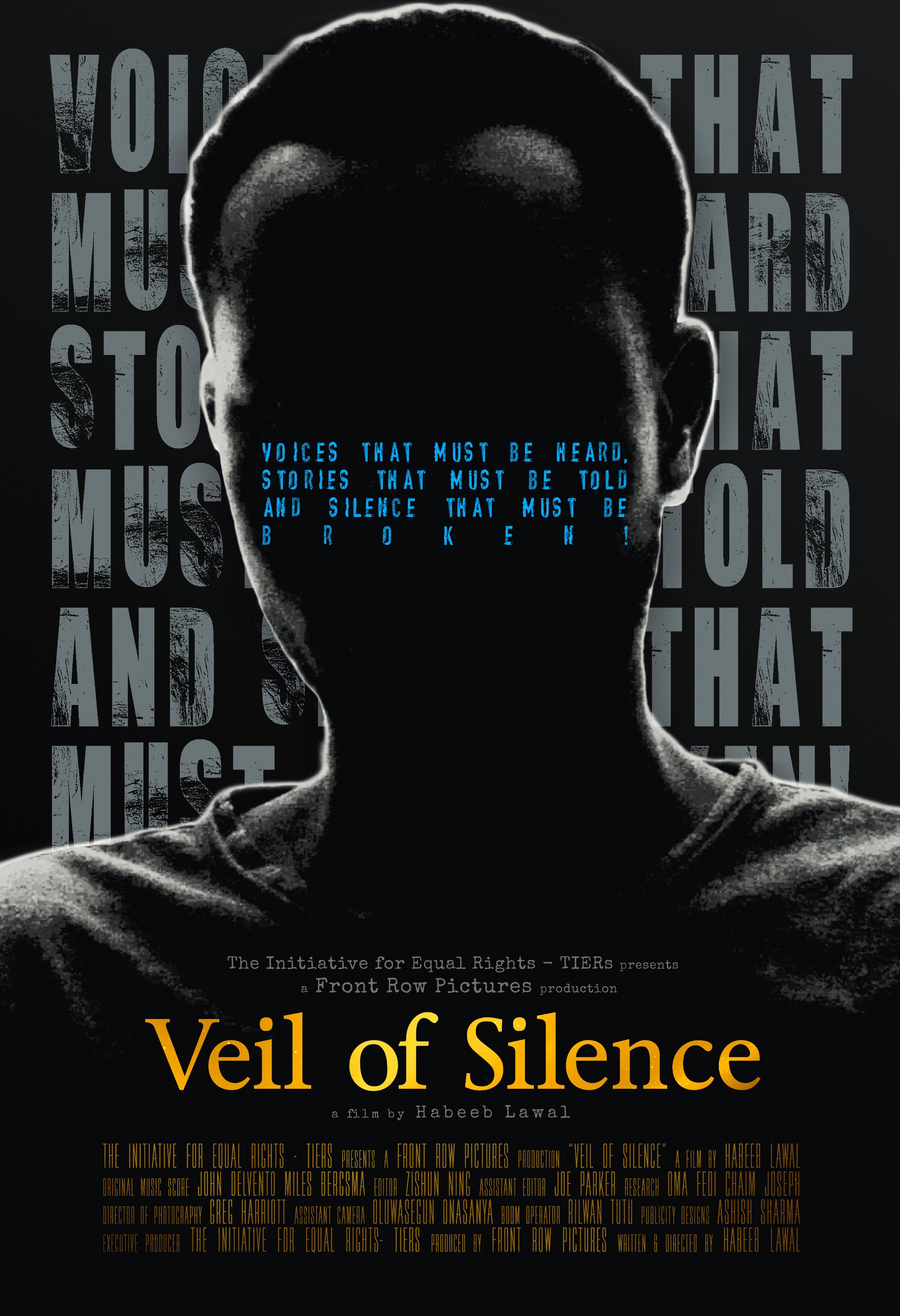 Mega Sized Movie Poster Image for Veil of Silence