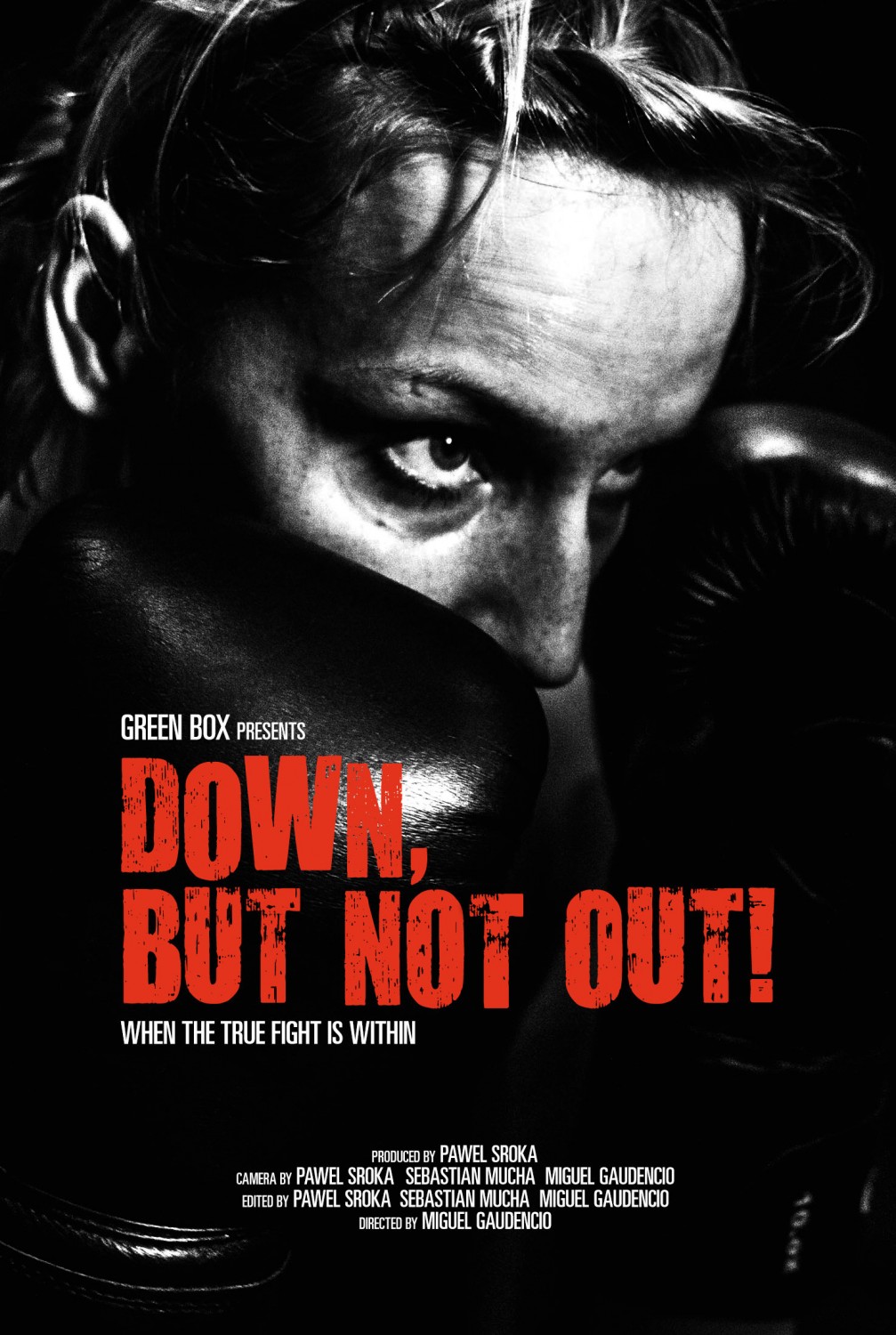 Extra Large Movie Poster Image for Down, But Not Out!