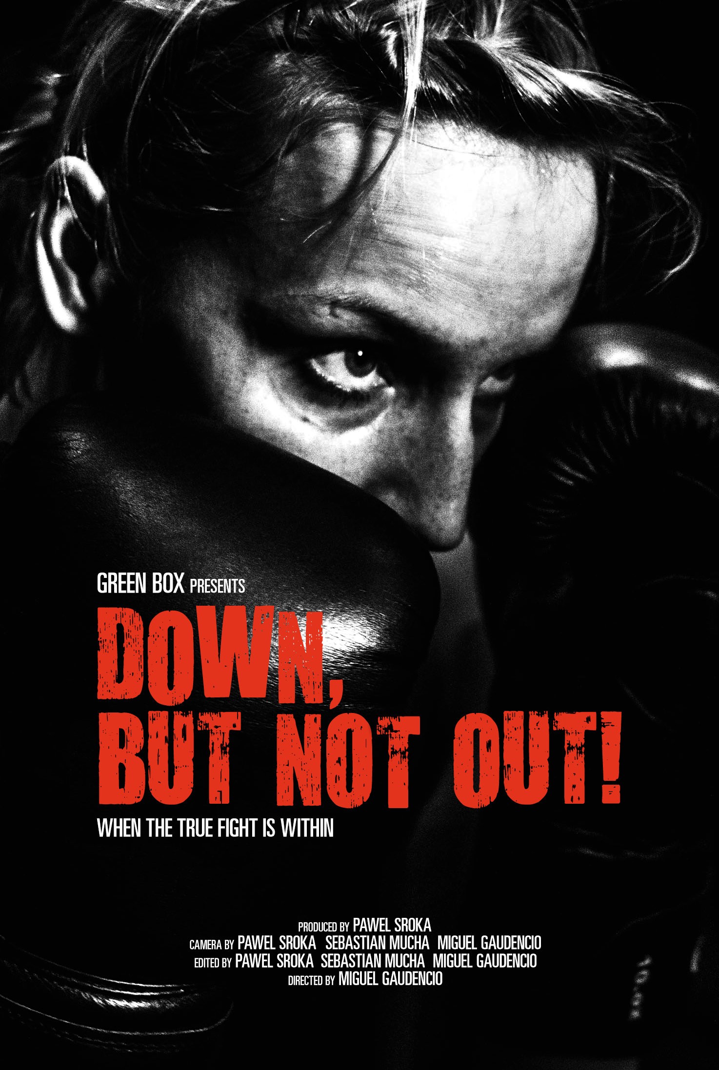 Mega Sized Movie Poster Image for Down, But Not Out!