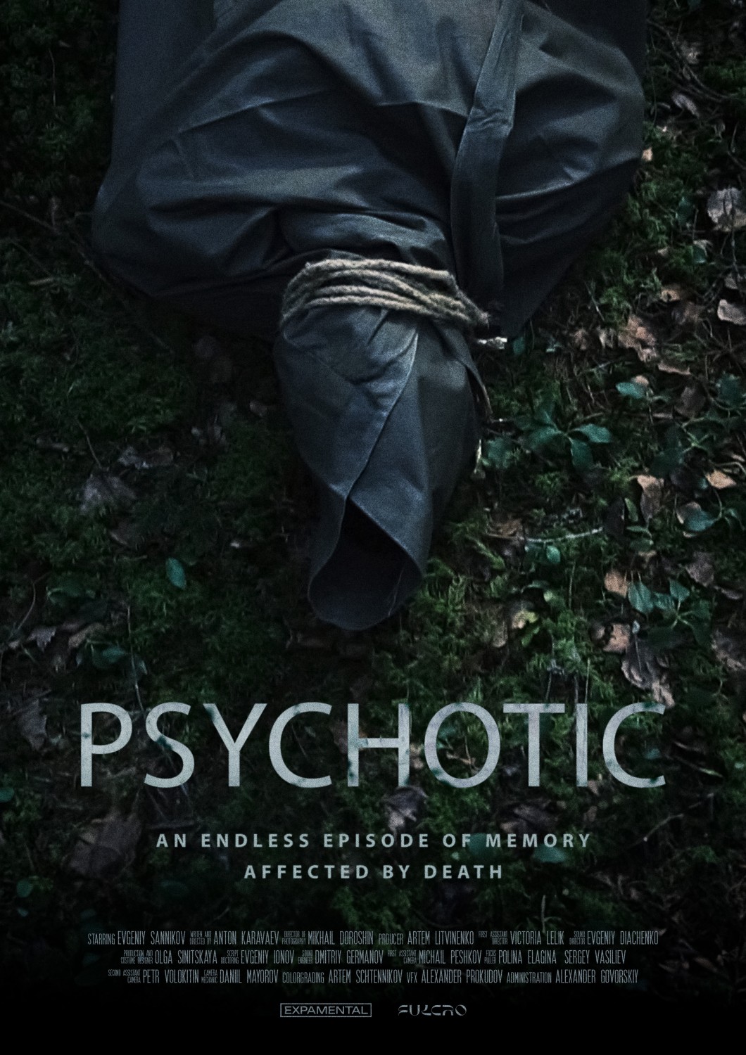 Extra Large Movie Poster Image for Psychotic