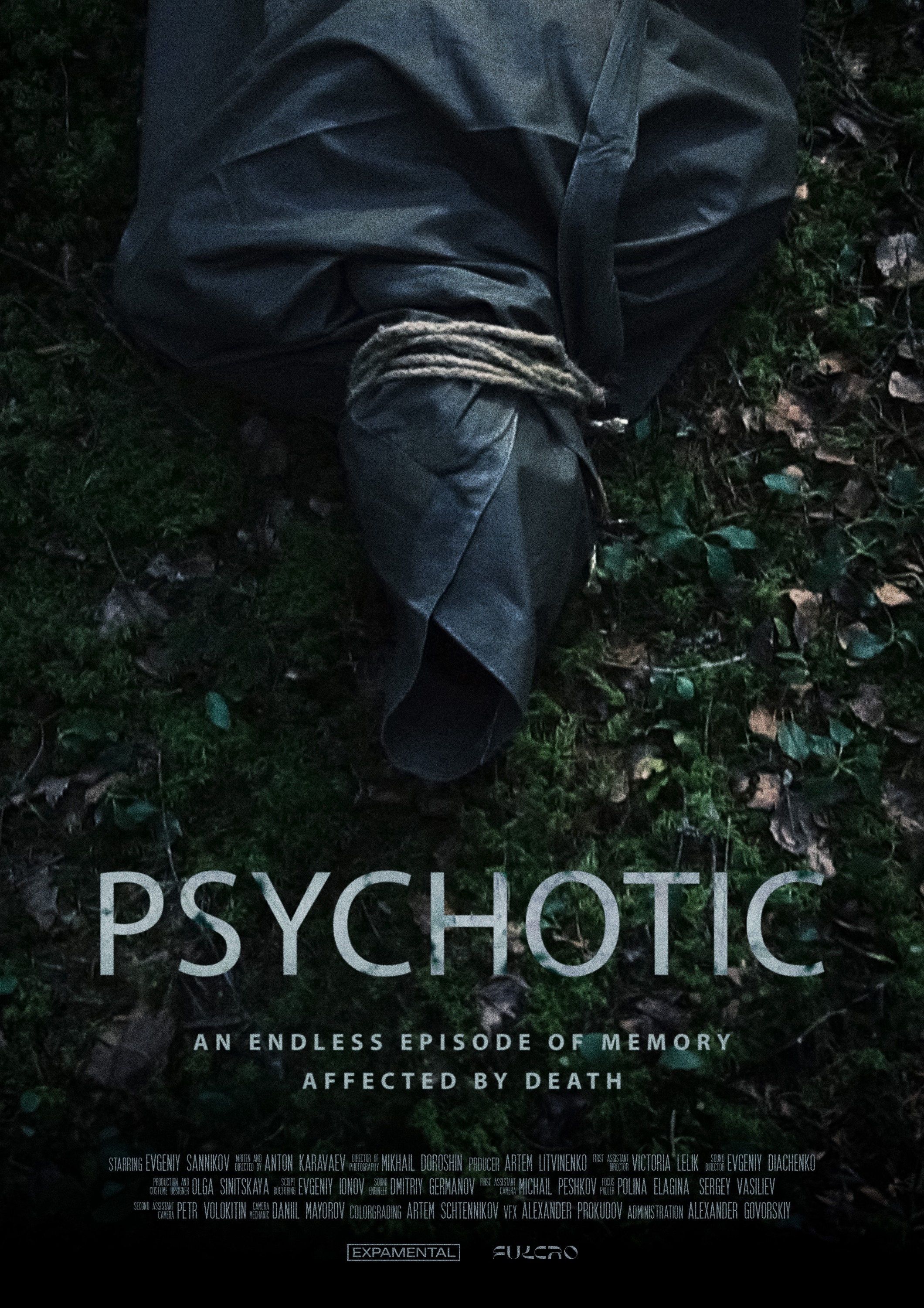 Mega Sized Movie Poster Image for Psychotic