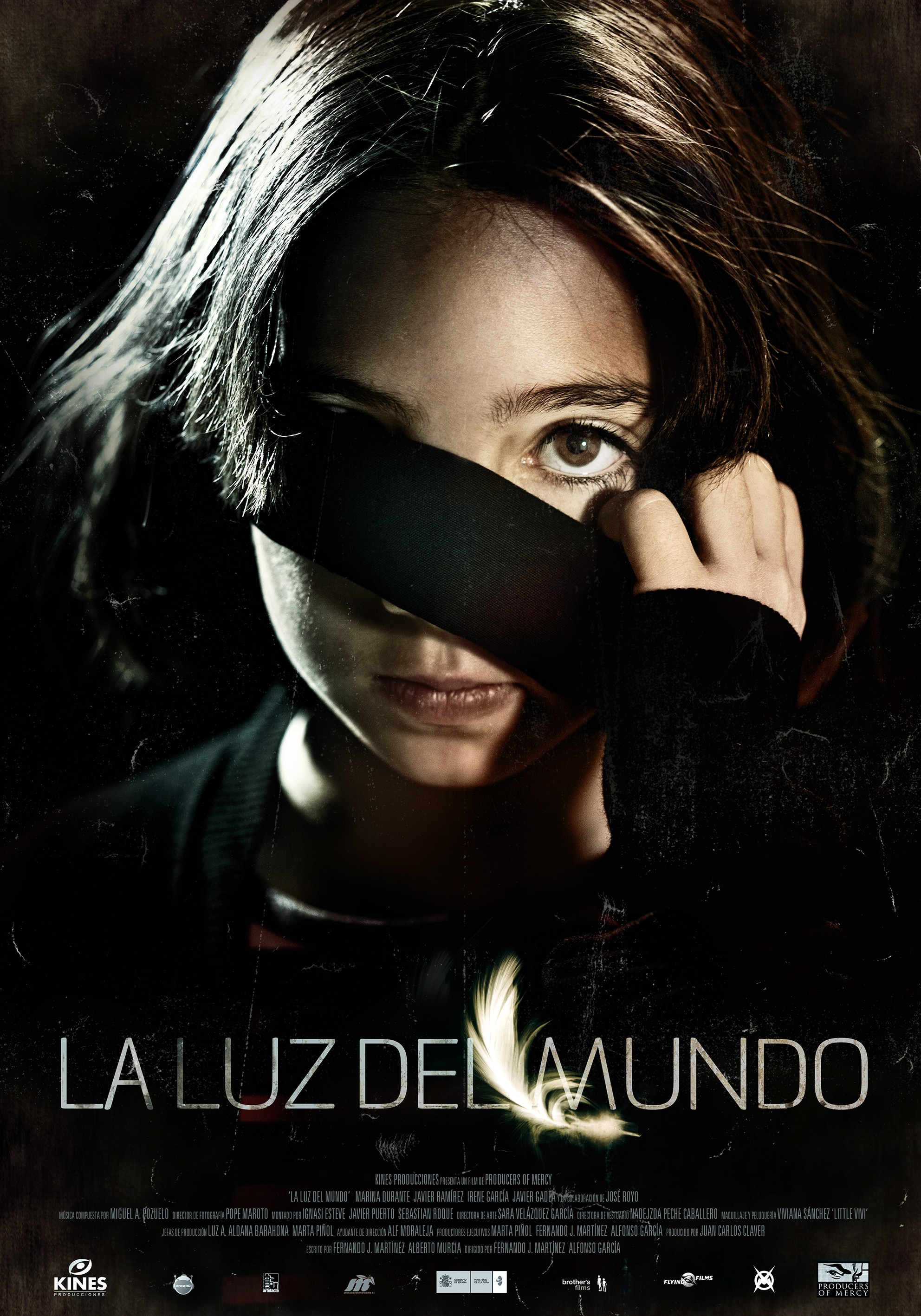 Mega Sized Movie Poster Image for La luz del mundo