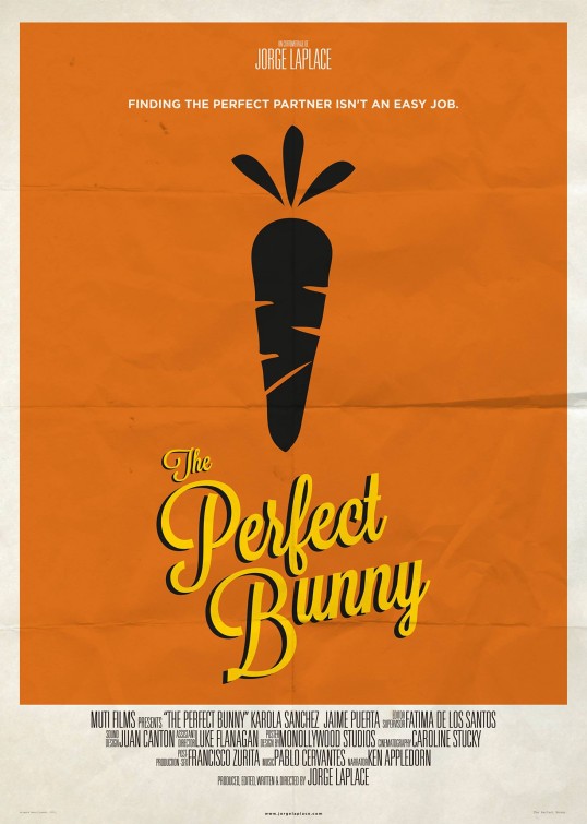 The Perfect Bunny Short Film Poster