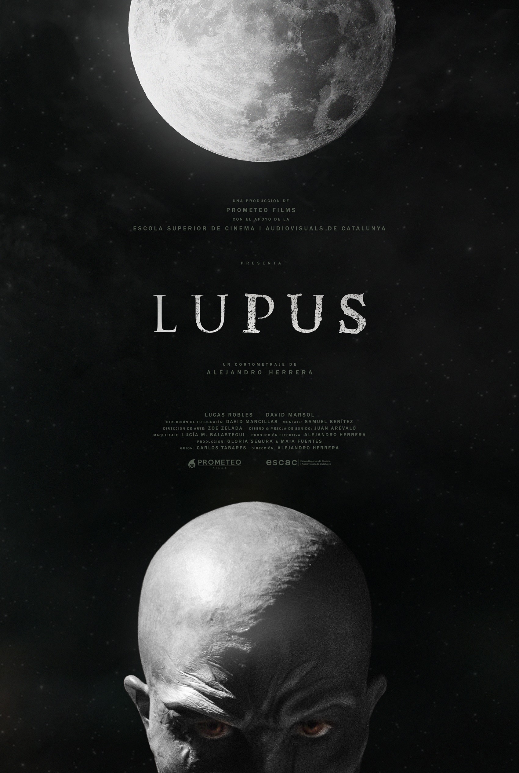 Mega Sized Movie Poster Image for Lupus