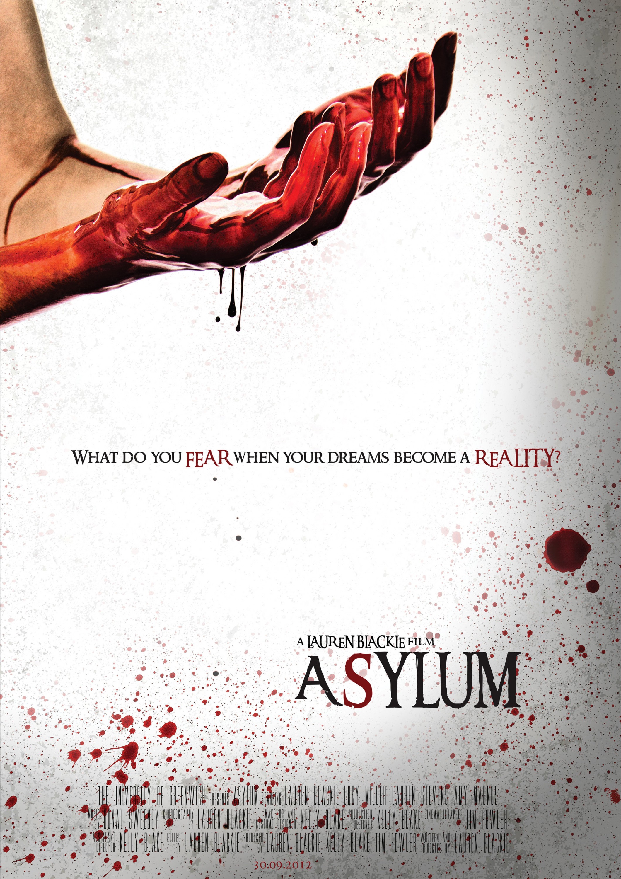Mega Sized Movie Poster Image for Asylum