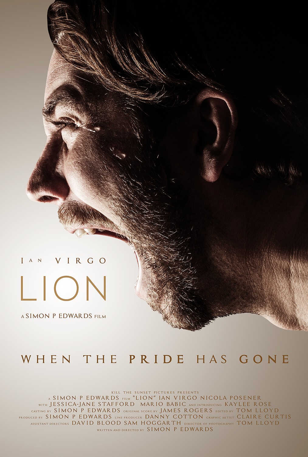 Extra Large Movie Poster Image for Lion