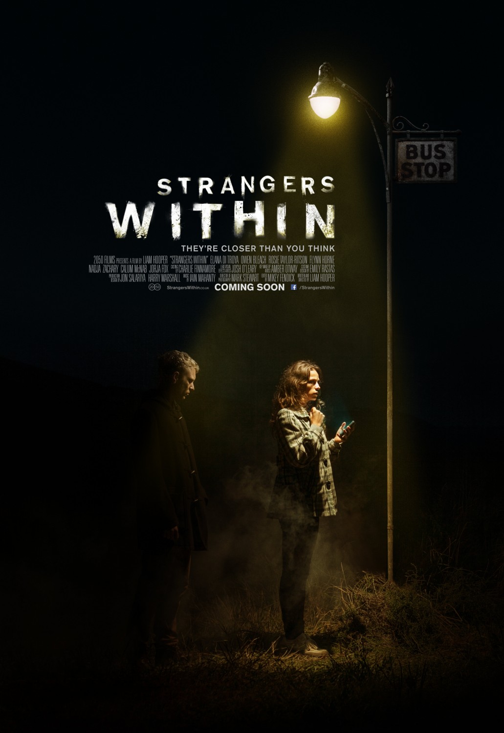 Extra Large Movie Poster Image for Strangers Within